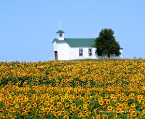 Church-with-sunflowers